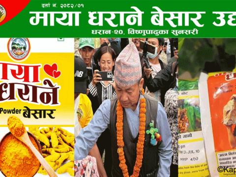 दर्ता प्रक्रियामै विधि उल्लङ्घन भएको बेसार उद्योग सञ्चालन पारदर्शी देखिएन 